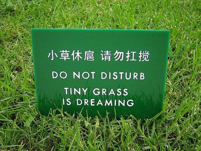 ca93d9de-f498-4af1-b6a5-28757c893ce6-image.png