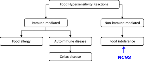 Intolerance 2. Classification with a graph for immune reaction.png