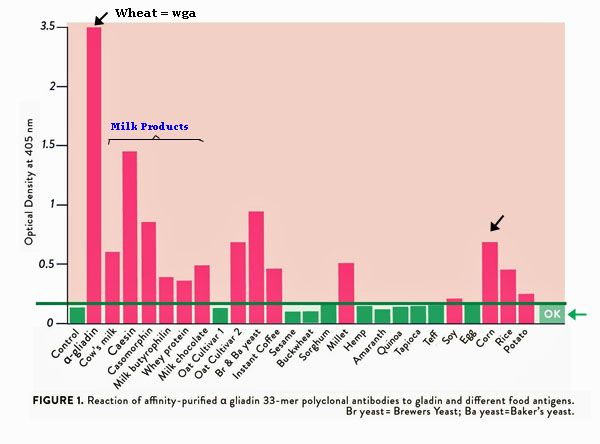 Intolerance to gluten & other protein sources. 2.jpg