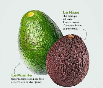 avocat hass et peau verte.jpg