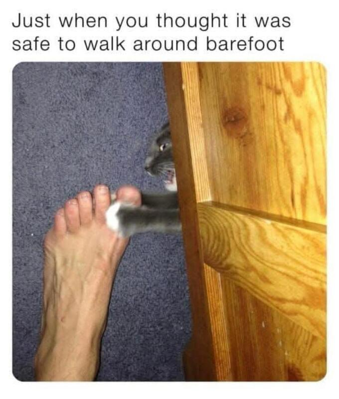 19eeafb6-85e7-4e10-998a-d560c5c286e7-image.png