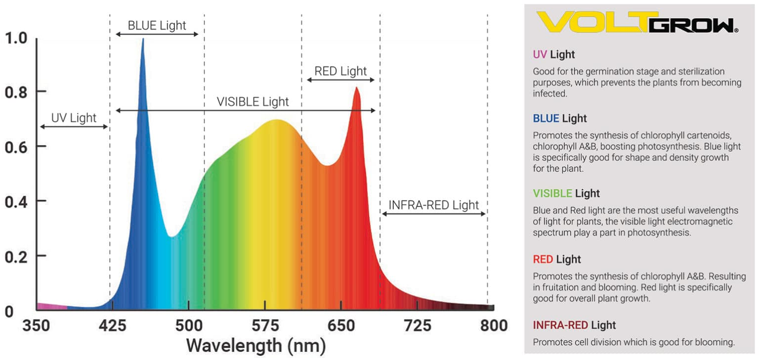 9aa69ec0-7dd7-4b4c-832e-02240e4898e7-image.png