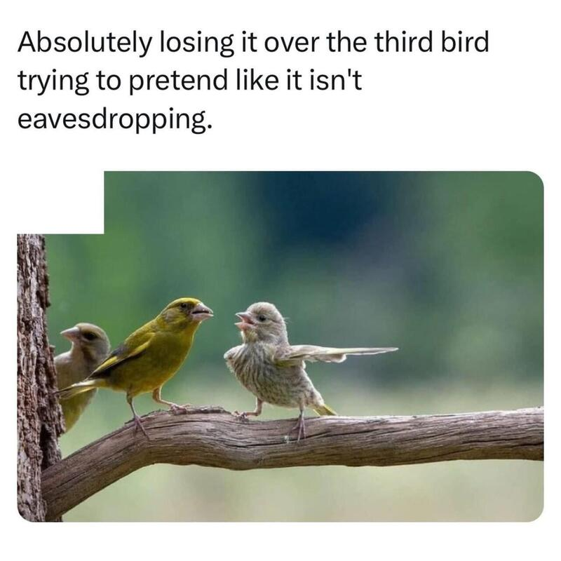 a165dab6-63e9-44d9-ba27-5c187e959d8f-image.png