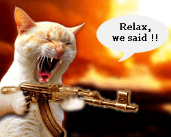 giphy angry cat firing.png