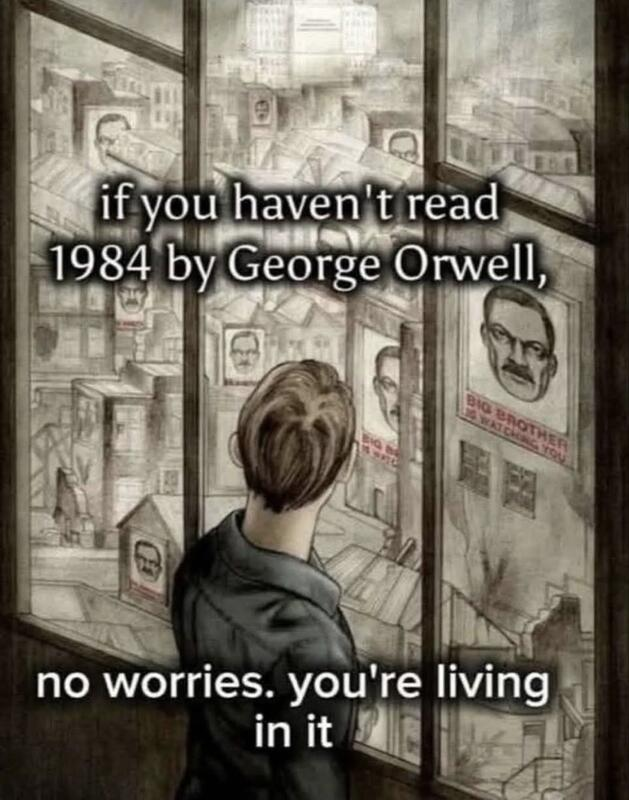 e837f2f5-231c-418e-87b4-99b139ba189c-image.png