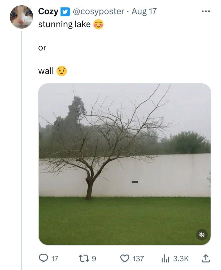 a_what.jpg