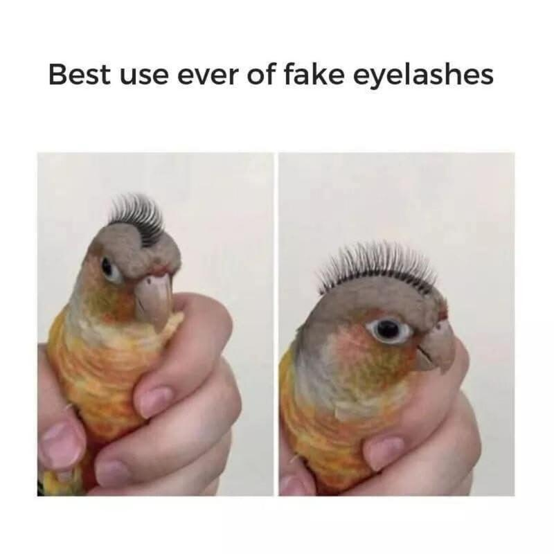 92800058-59c9-4c85-a480-3cf5a0c4a24a-image.png