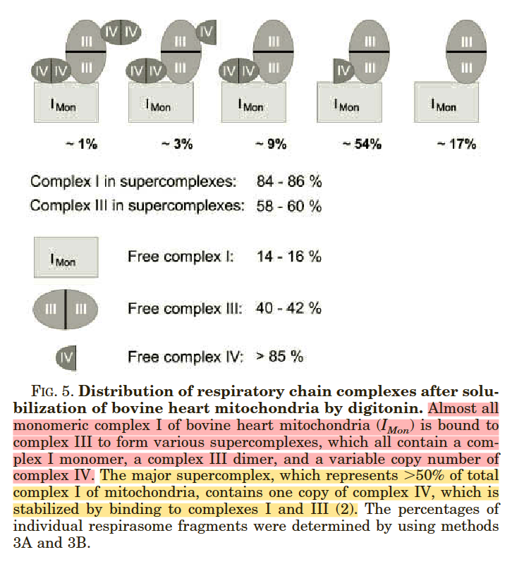 0c20f30f-de55-49c8-b13b-79ab85e9f389-image.png
