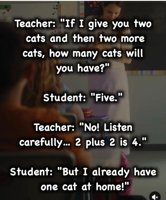 585e78d8-f0af-40e2-b997-7a5345420fea-image.png