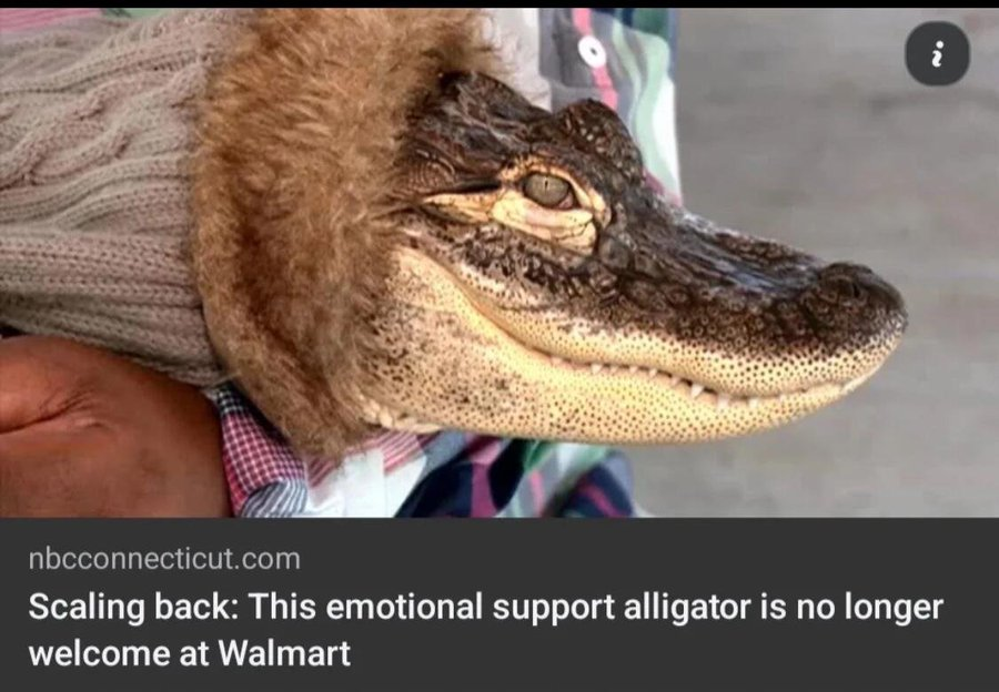 c08735c1-64af-475a-9c8f-445c21c81025-image.png