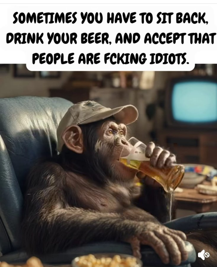 70869a0d-251f-4a61-99f6-cc561a136b5e-image.png