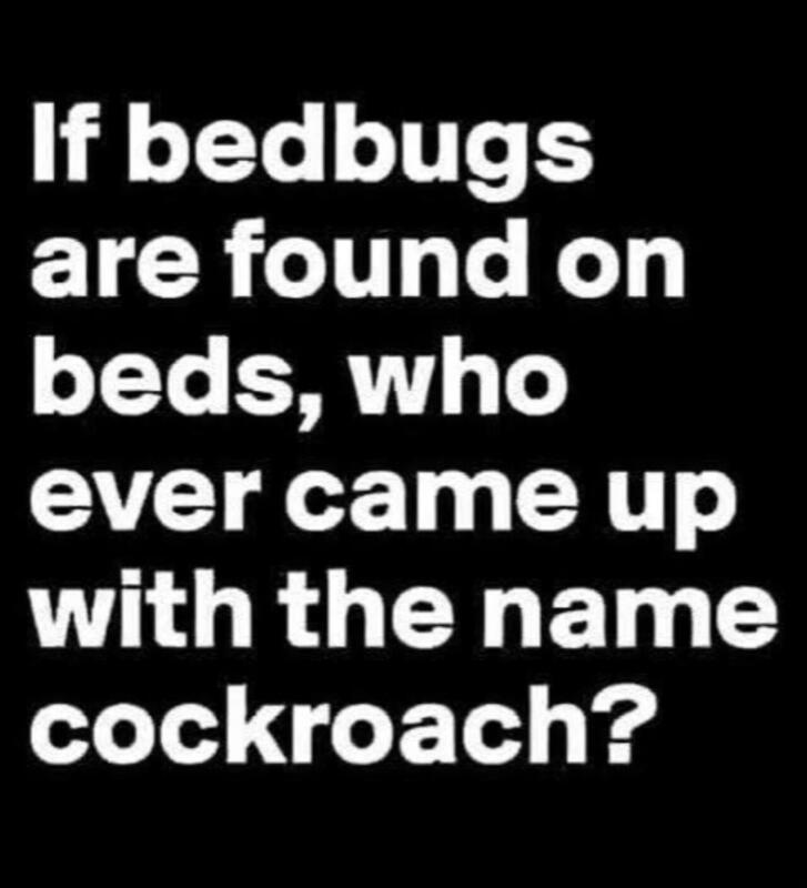 ab61ee80-cbb9-4f14-b568-62d378526c72-image.png