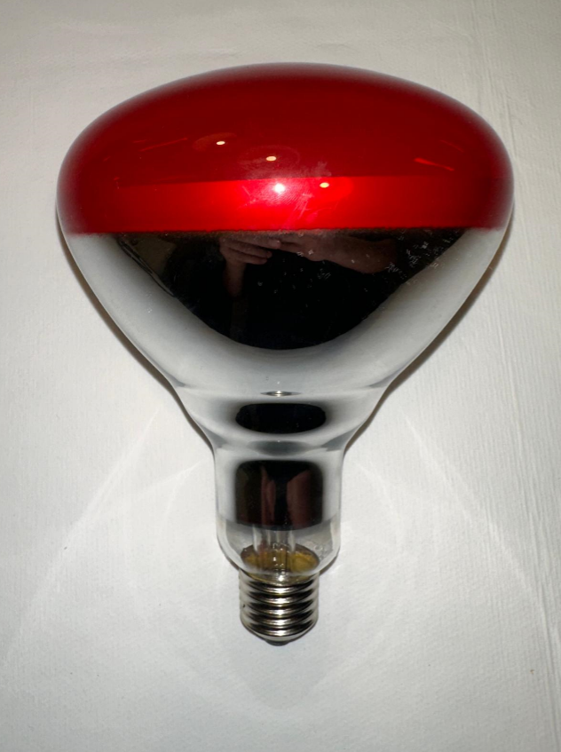 3254e1e4-f3e7-4cb2-bb51-e58bb0e2fe41-image.png