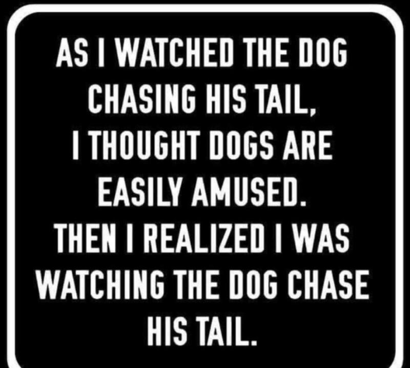 e0acb114-97a7-46cb-a901-42c24c9bf3ee-image.png