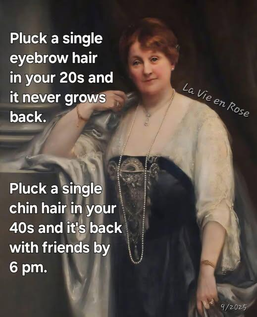 ca750270-98ed-48b6-bd88-0bb23bf6e27e-image.png
