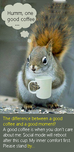 Coffee first trabbit..png