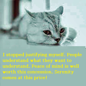 cat. I stop justifying myself & serenity.png