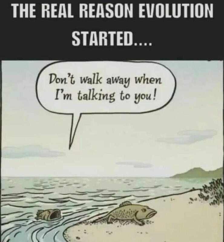41438c65-1838-442c-8e62-c01b69c97373-image.png
