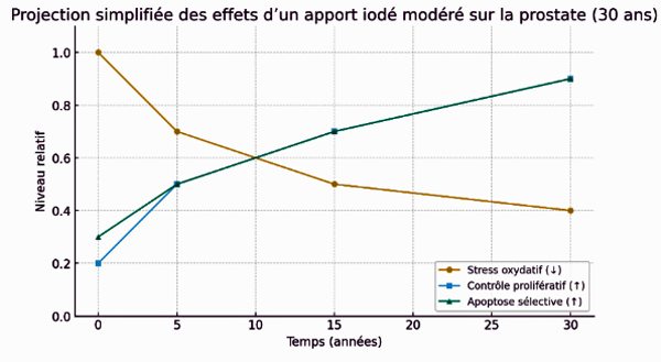 fig 3. Projection for intake on the prostate. iodine.png