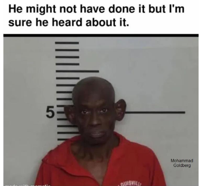 81e7170a-8fc1-4724-8520-2855cd06d354-image.png