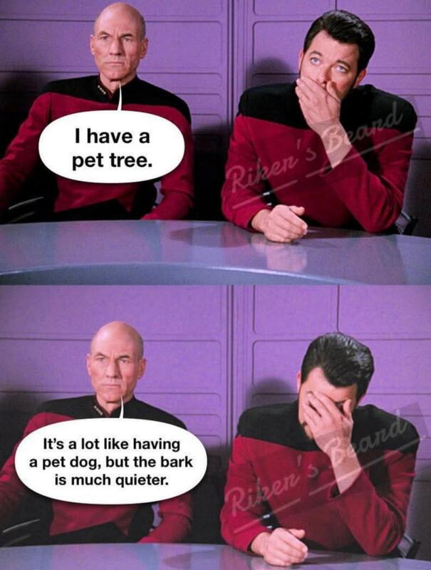 8c50e495-e0dd-4121-8ae7-011537ed9861-image.png
