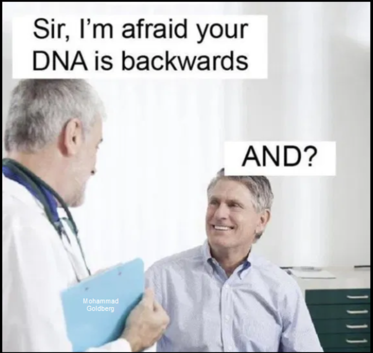 3c311a81-2743-4a2e-b59c-bcc6d3d3f58e-image.png