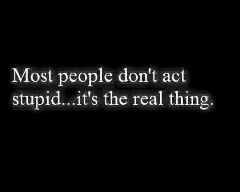 7a9e64ab-a6e7-4856-9531-98f8326a133a-image.png