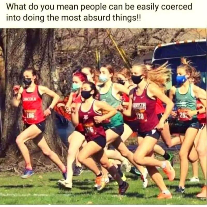 fc449a5c-e29d-44e8-9fd8-b4f53ba21536-image.png