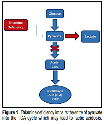 Fig 1. Thiamine deficiency leads to excess lactate.png