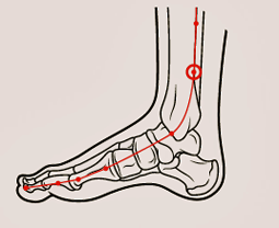 acupression Pt RP6 pied.png