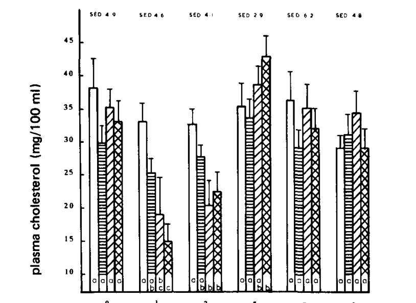 f4366e4a-b08a-4a61-95b5-1ff3cedf07b4-image.png