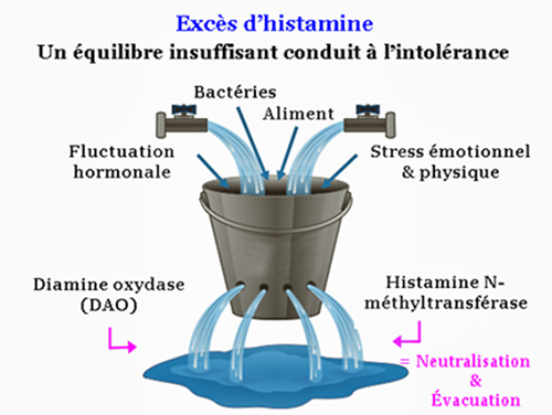 Histamine & leaky Bucket.png
