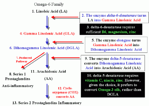 Pathway LA - GLA - DGLA - AA or PG-2.gif