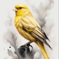 YellowCanary