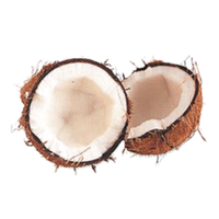 coconut